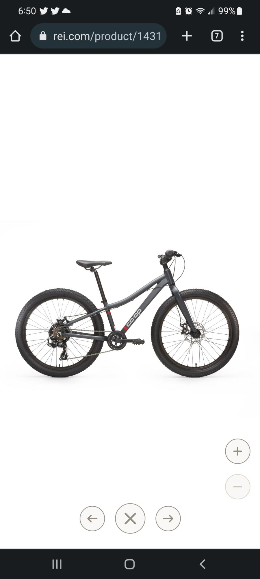 2022 REI Co-op REV 24 Kid Silver, gray or bare metal