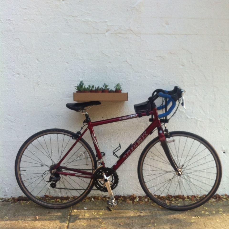 2006 Trek Pilot 1.2 Red