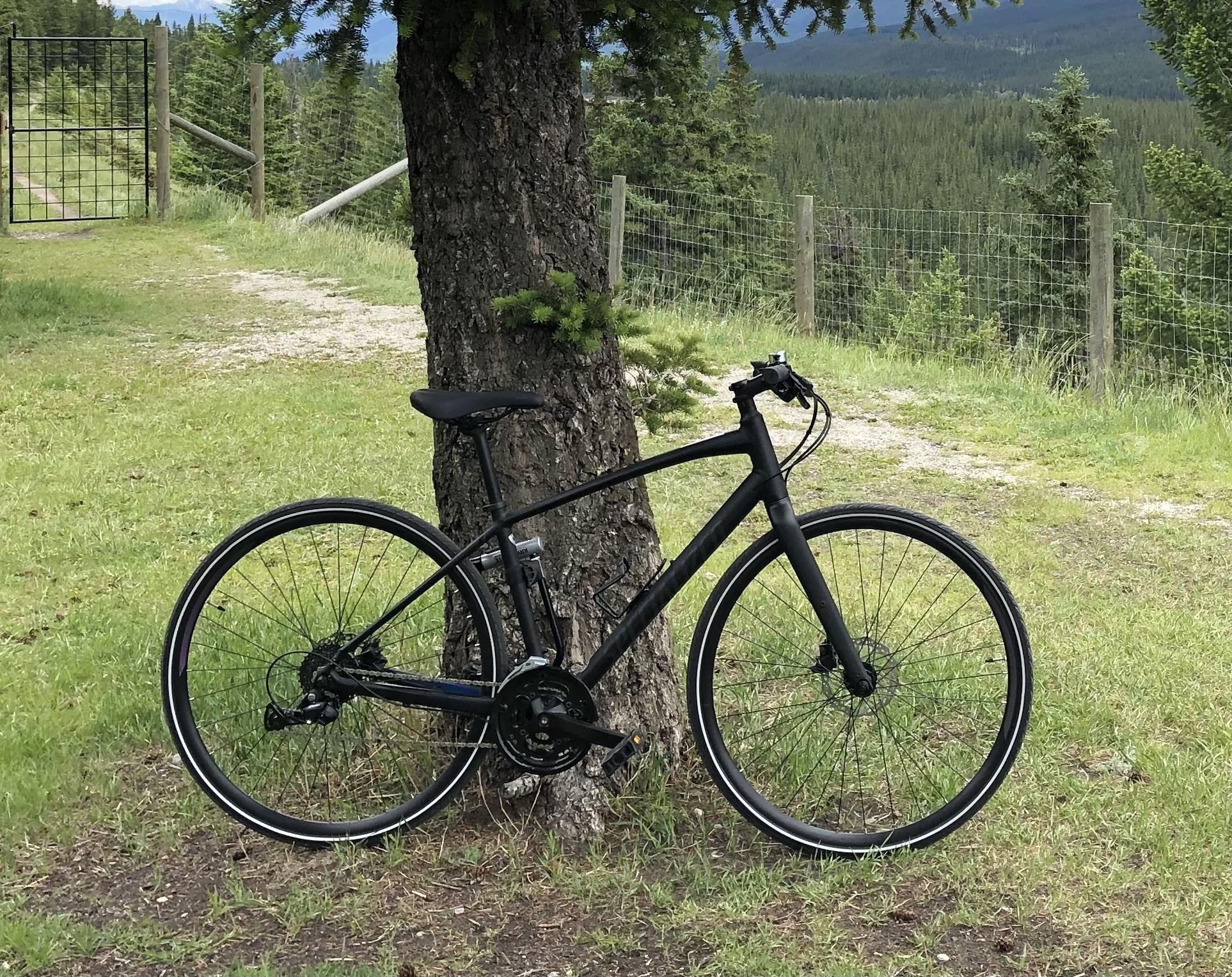 2018 Specialized Sirrus Black