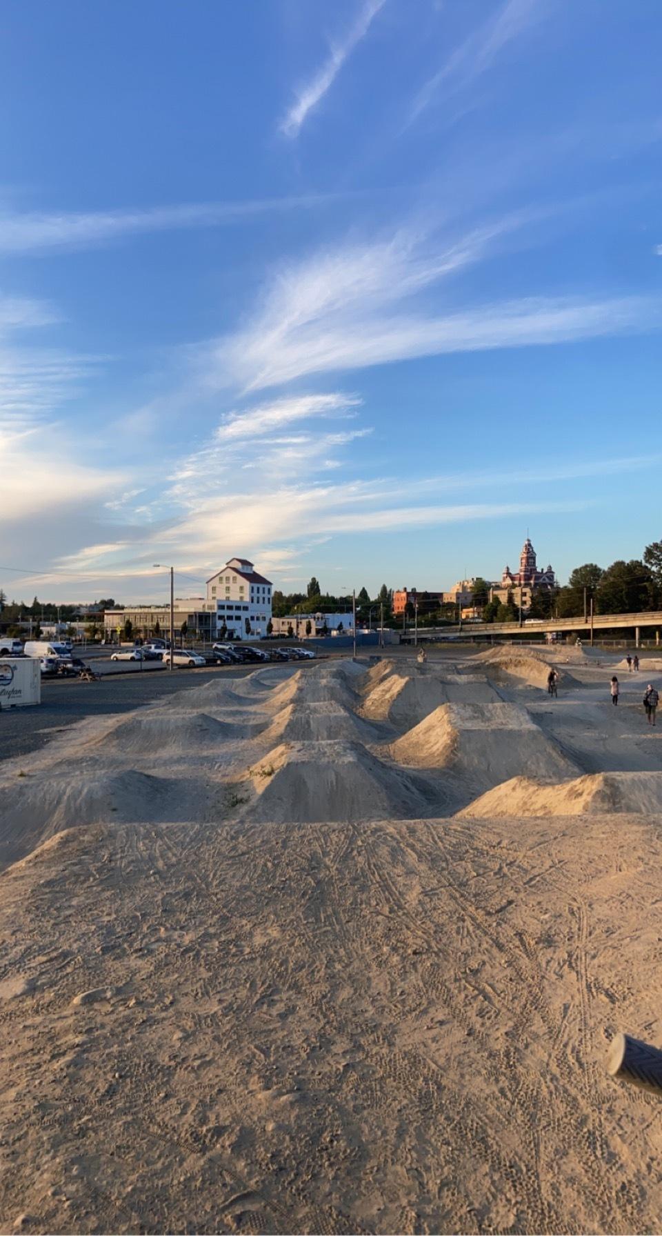 2021 Liv Intrigue Silver, gray or bare metal