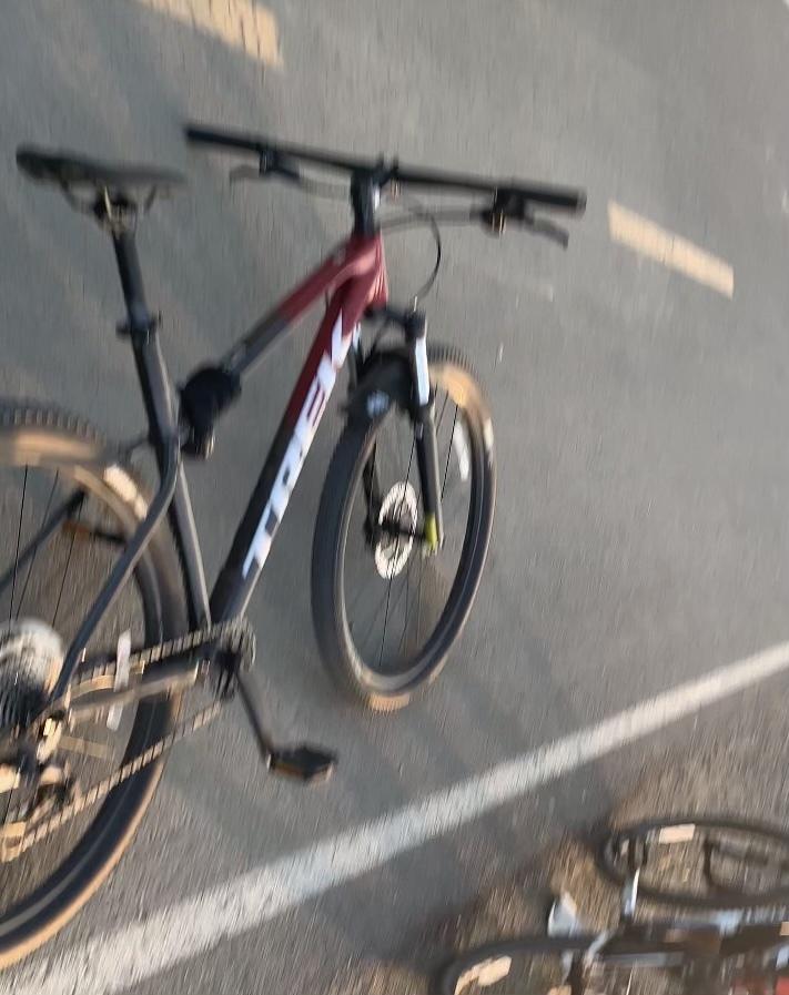 2022 Trek Marlin 6 Red and Black