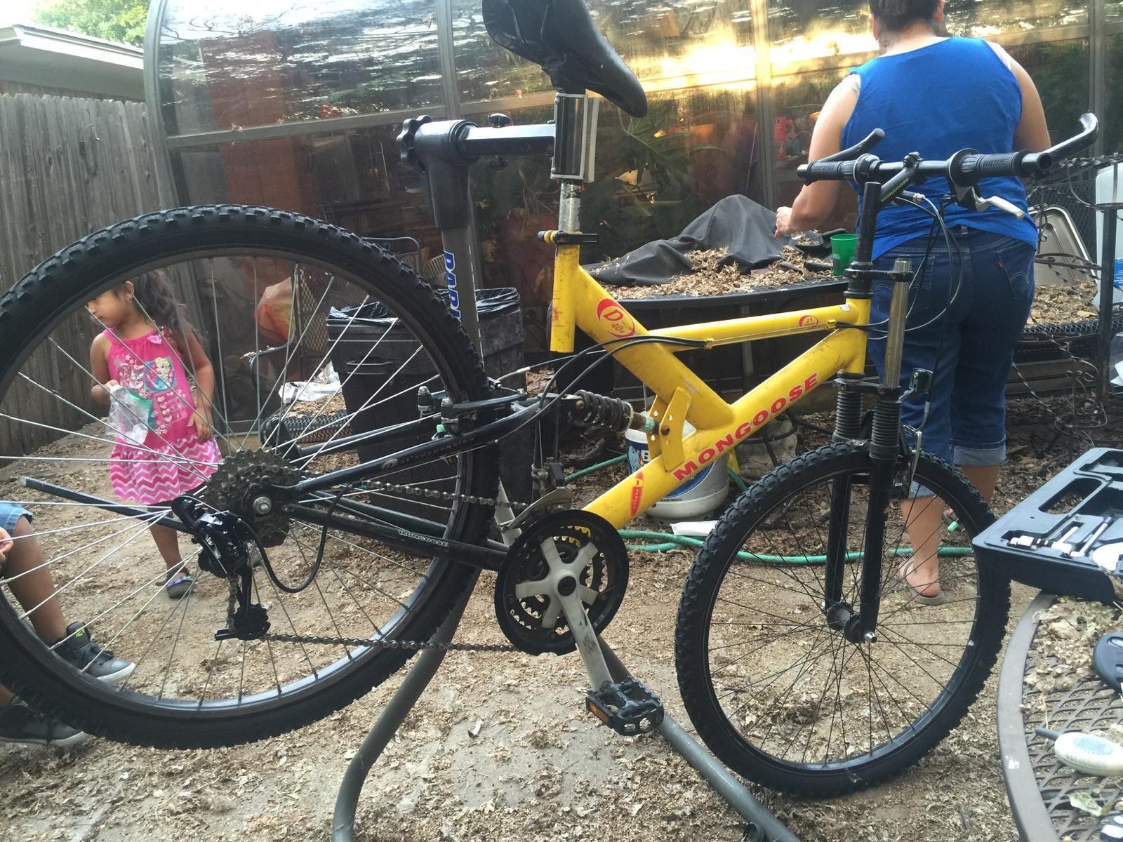 Mongoose Yellow or Gold and Black