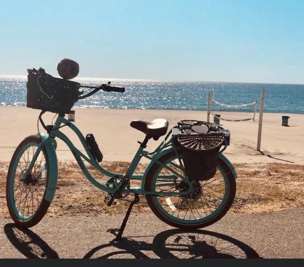 2019 Pedego INTERCEPTOR Teal