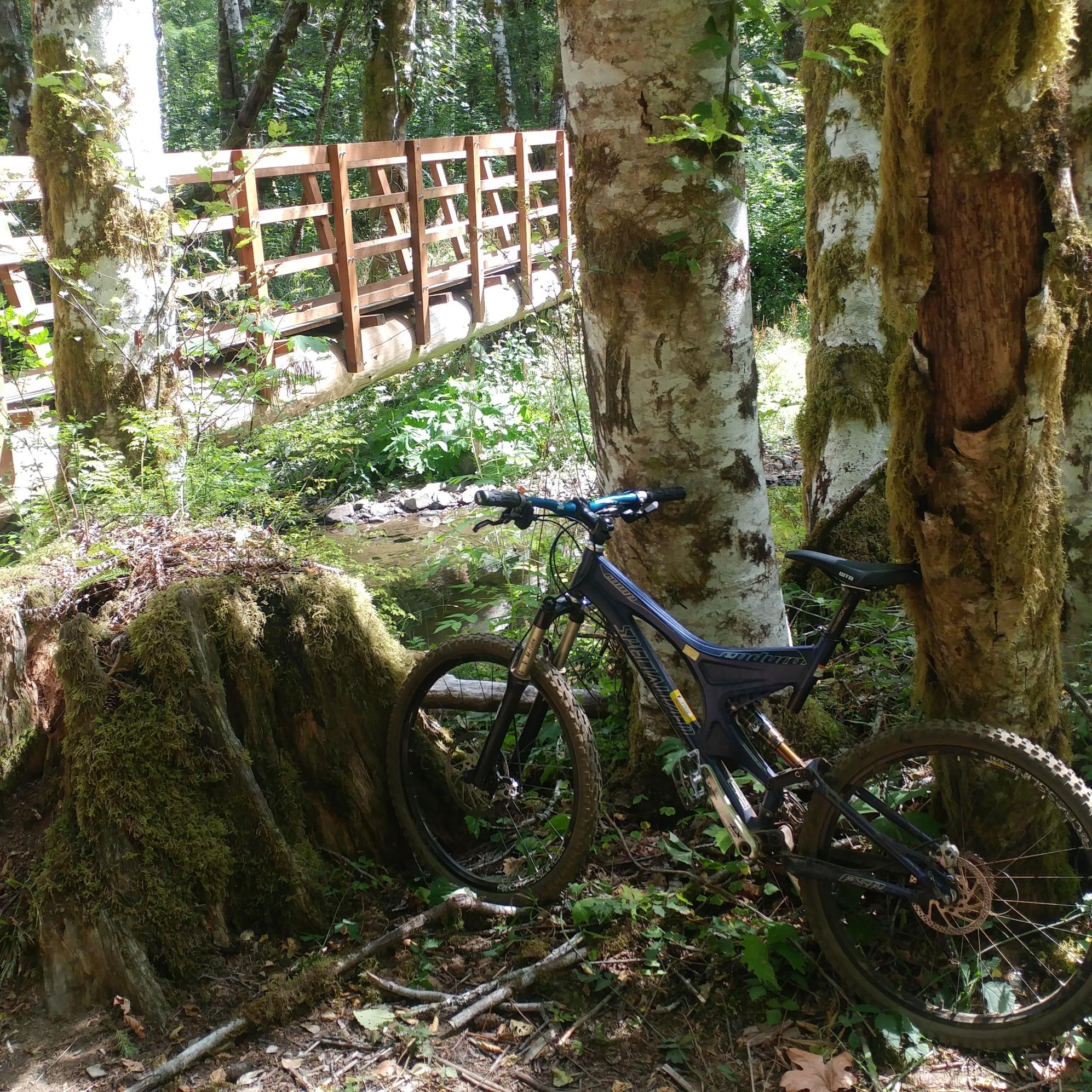 2004 Specialized Enduro Comp Purple
