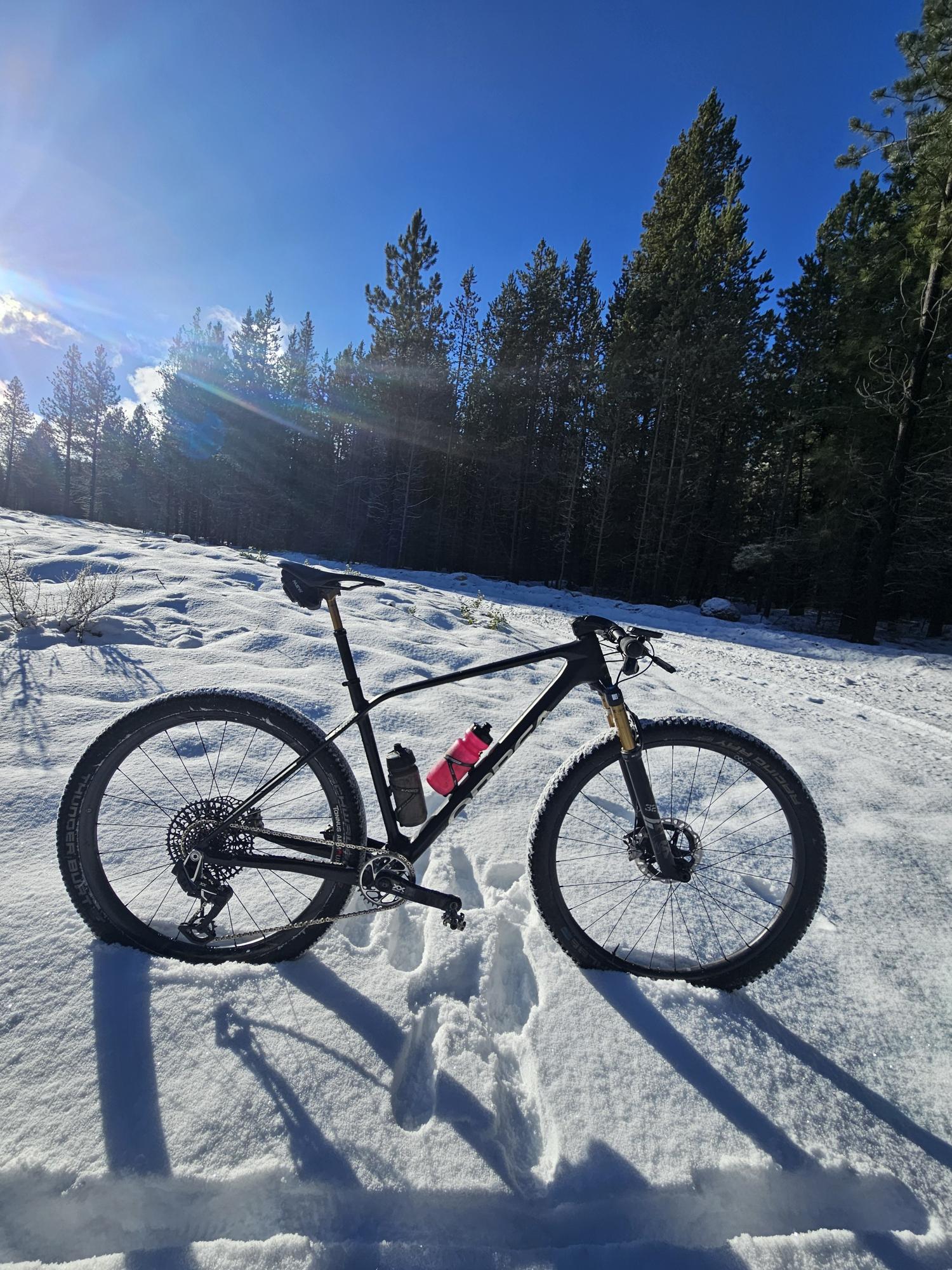 2024 Orbea Alma Black