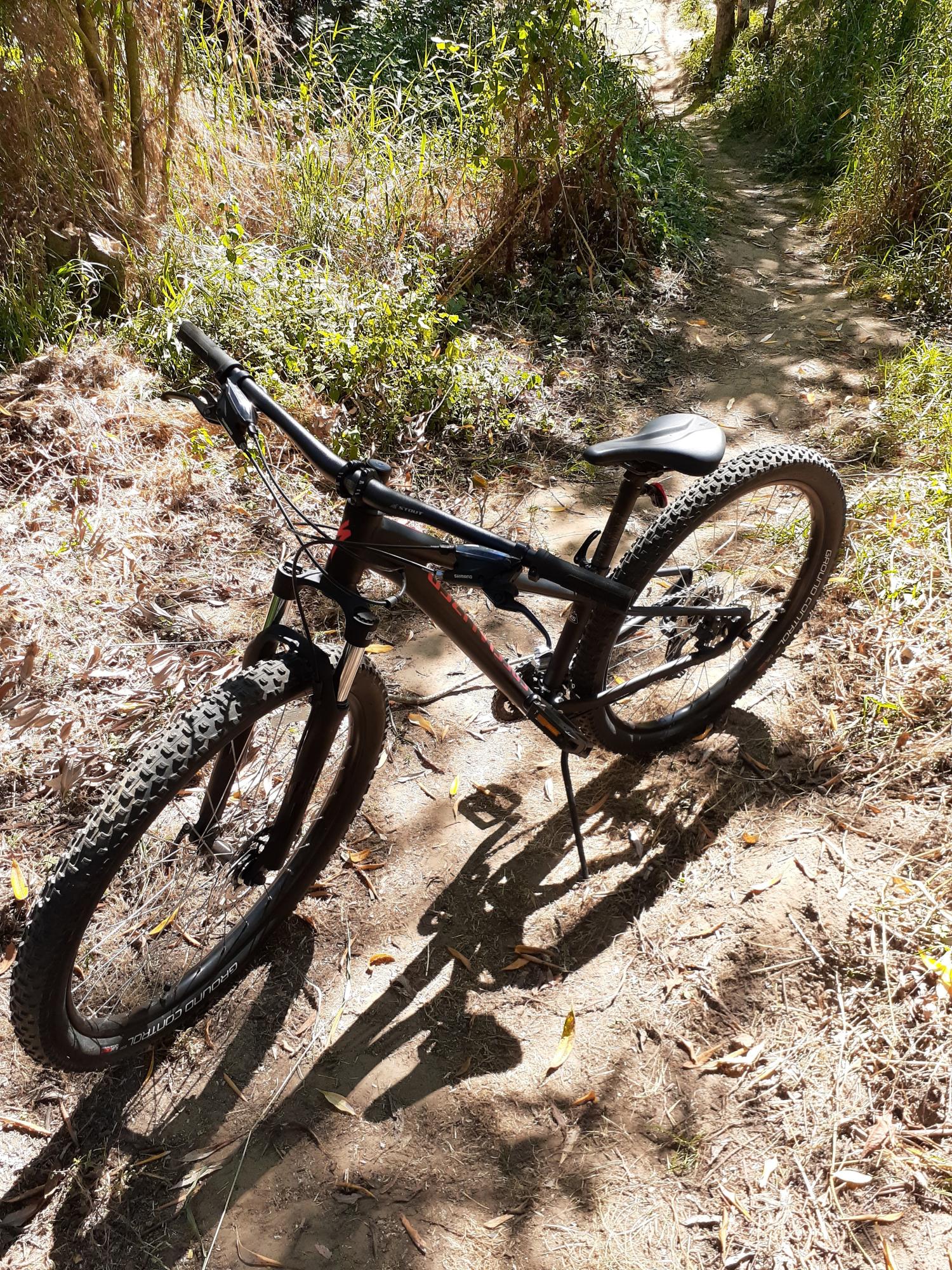 2019 Specialized Pitch Black