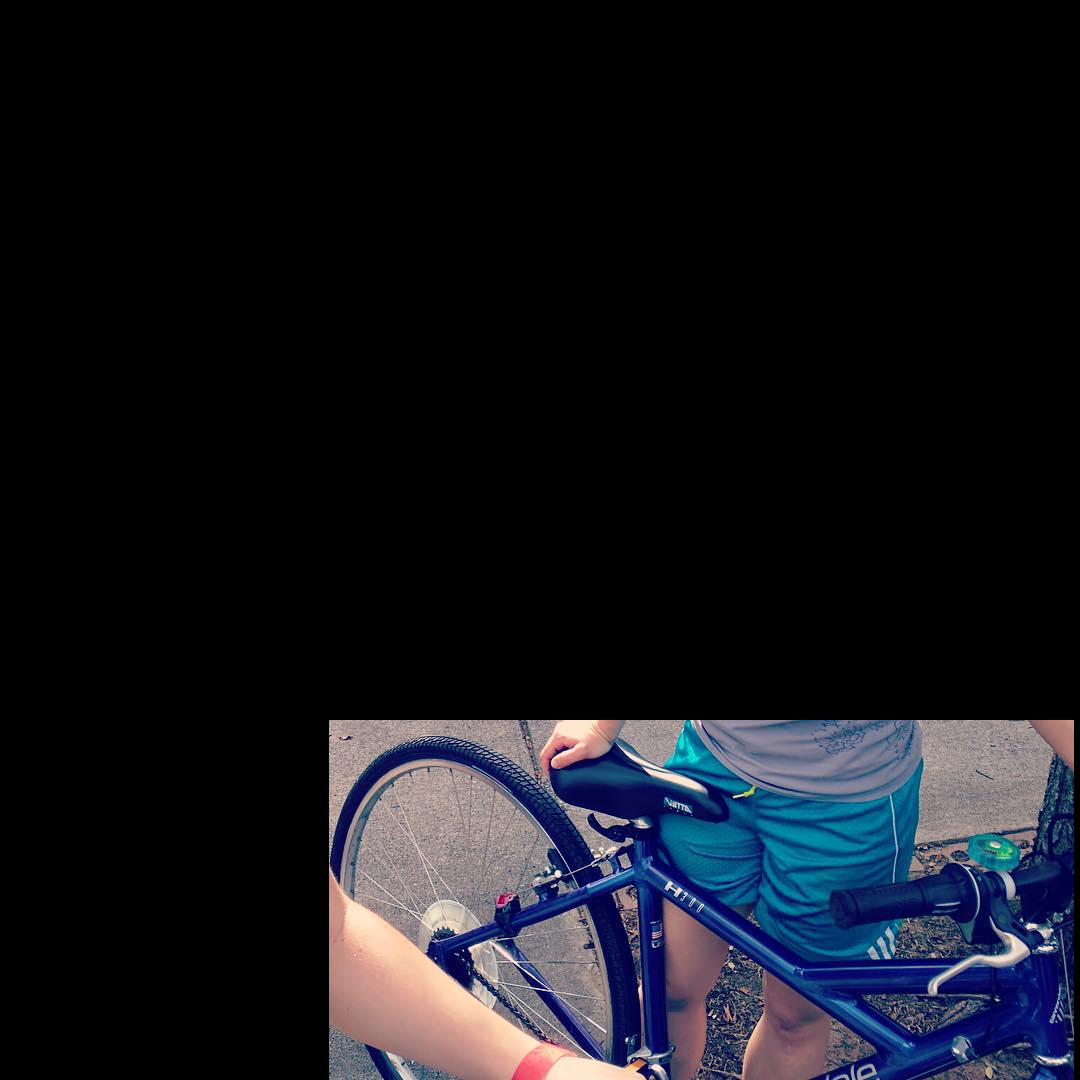 Cannondale Purple