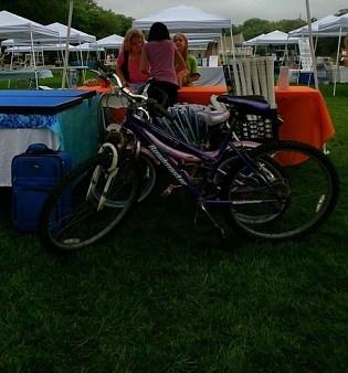 Roadmaster Mountain Bike Purple