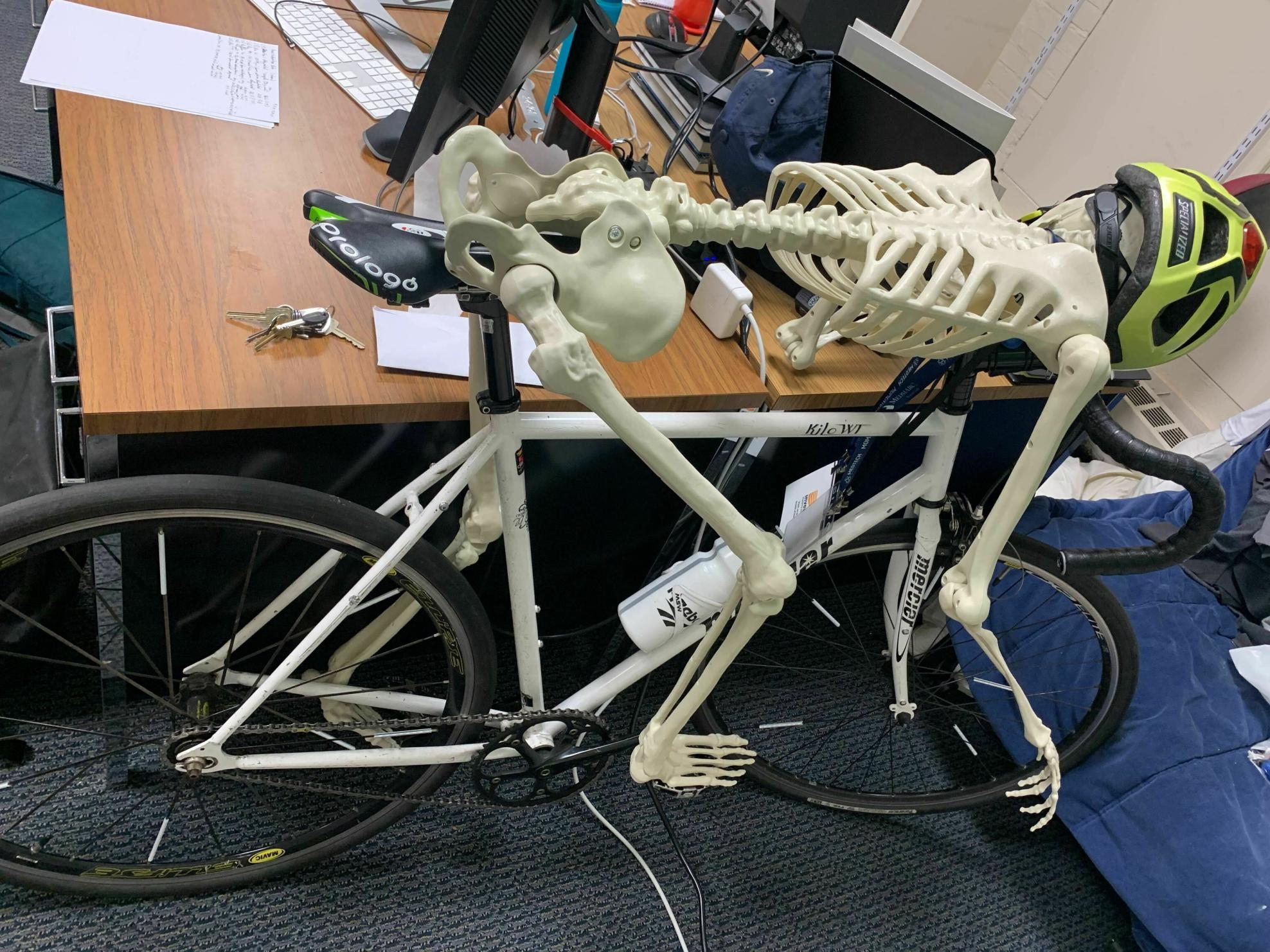 Mercier Kilo WT White