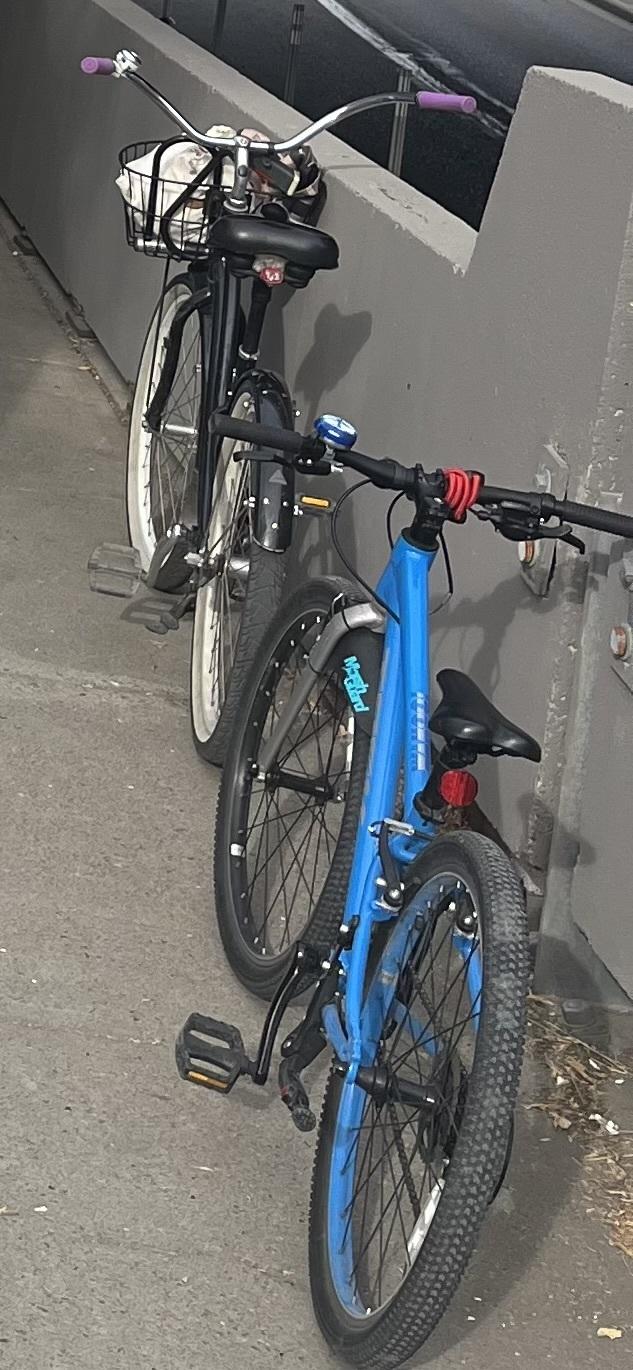 2022 Trek Wahoo Blue