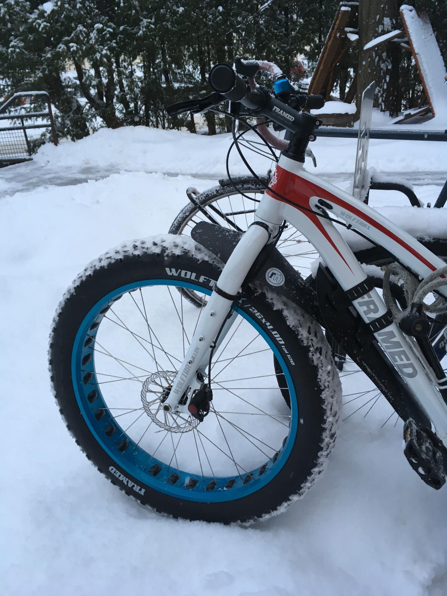 2015 FRAMED Wolftrax White