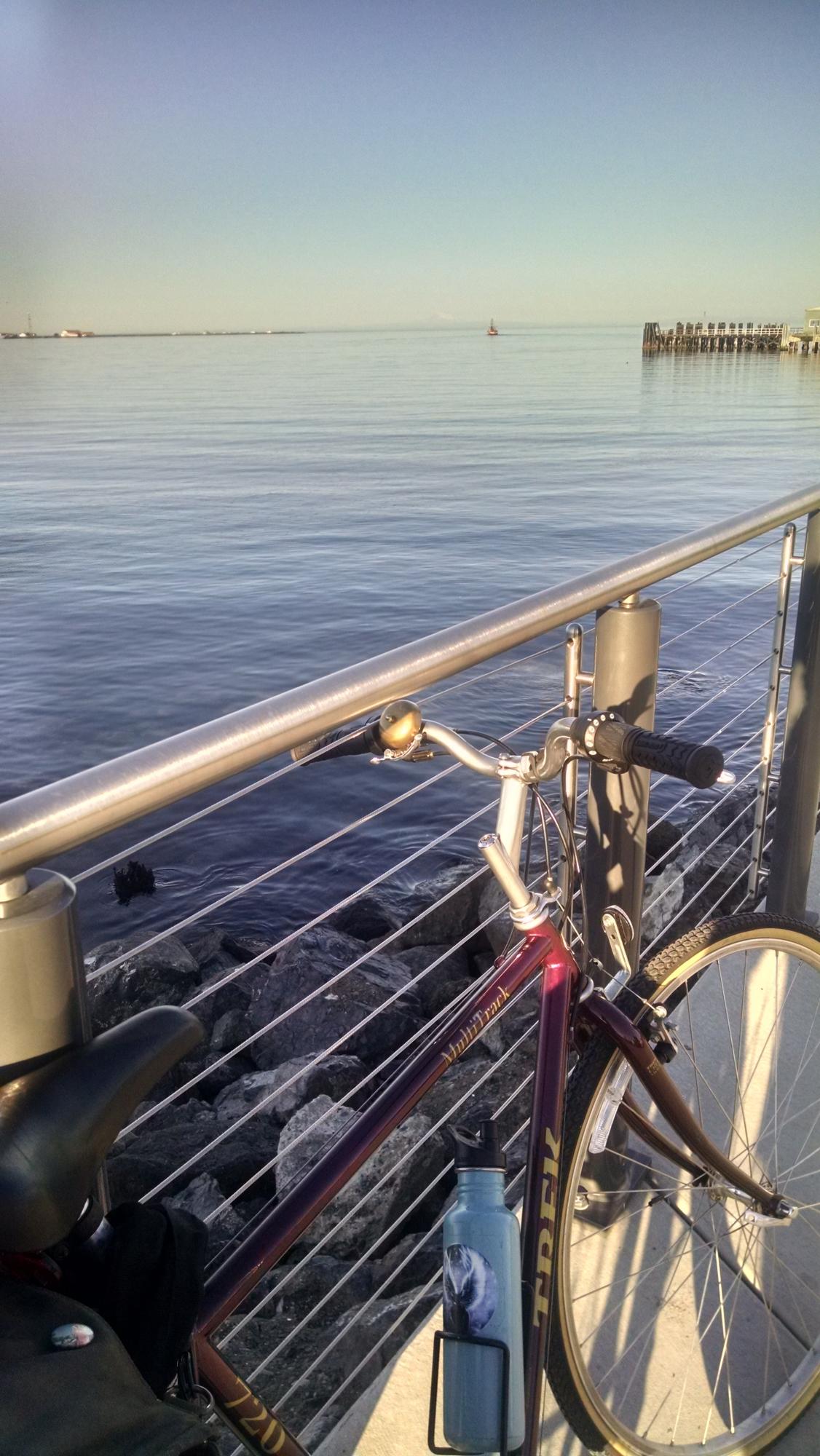 1993 Trek 720 Purple and Yellow or Gold