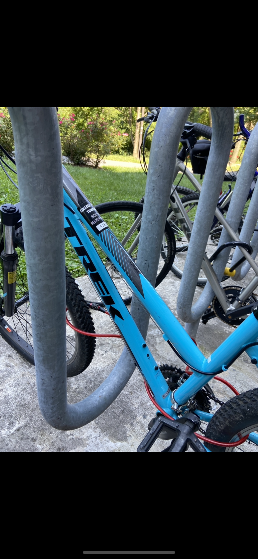 Trek Blue