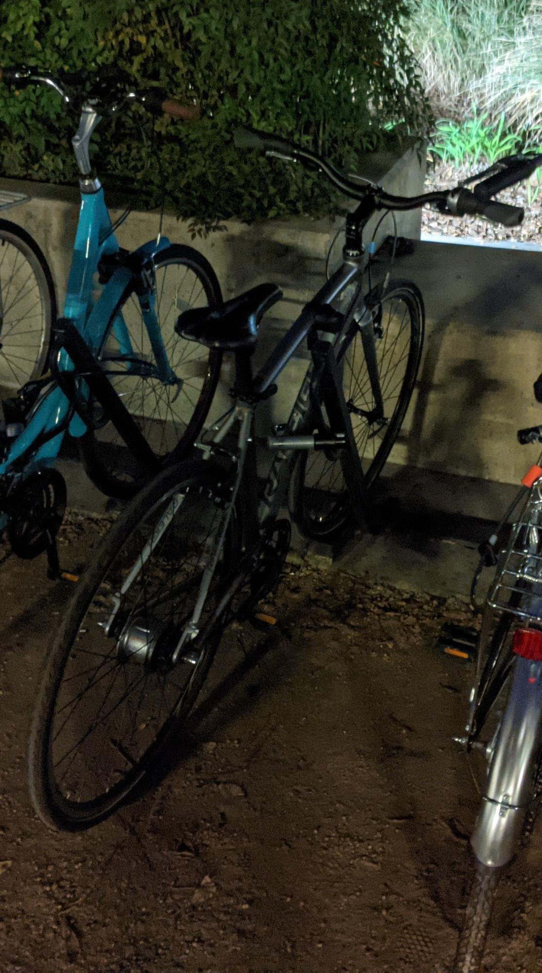 Raleigh Strada Silver, gray or bare metal