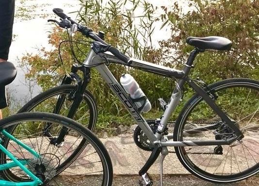 2009 SCOTT Sportster P4 Men M Silver, gray or bare metal