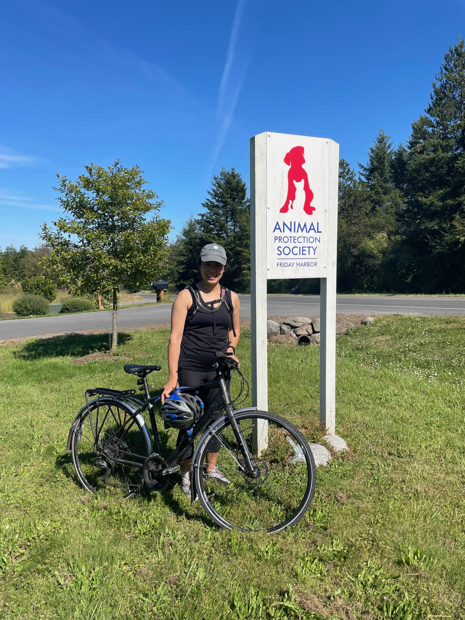 2013 Specialized Sirrus Black