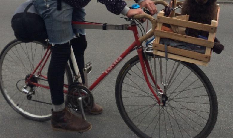 Univega Red and White