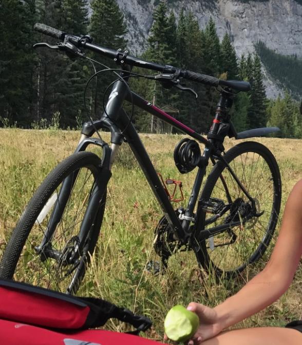 2013 Specialized Ariel Elite Disc Black and Pink