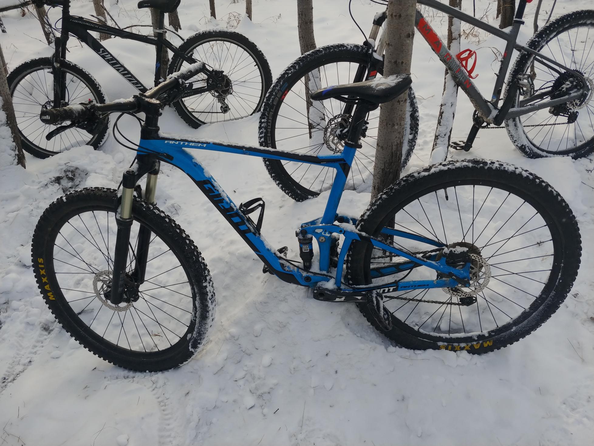 2015 Giant Anthem Blue