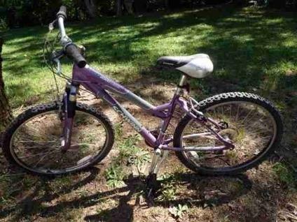 2015 Schwinn Purple