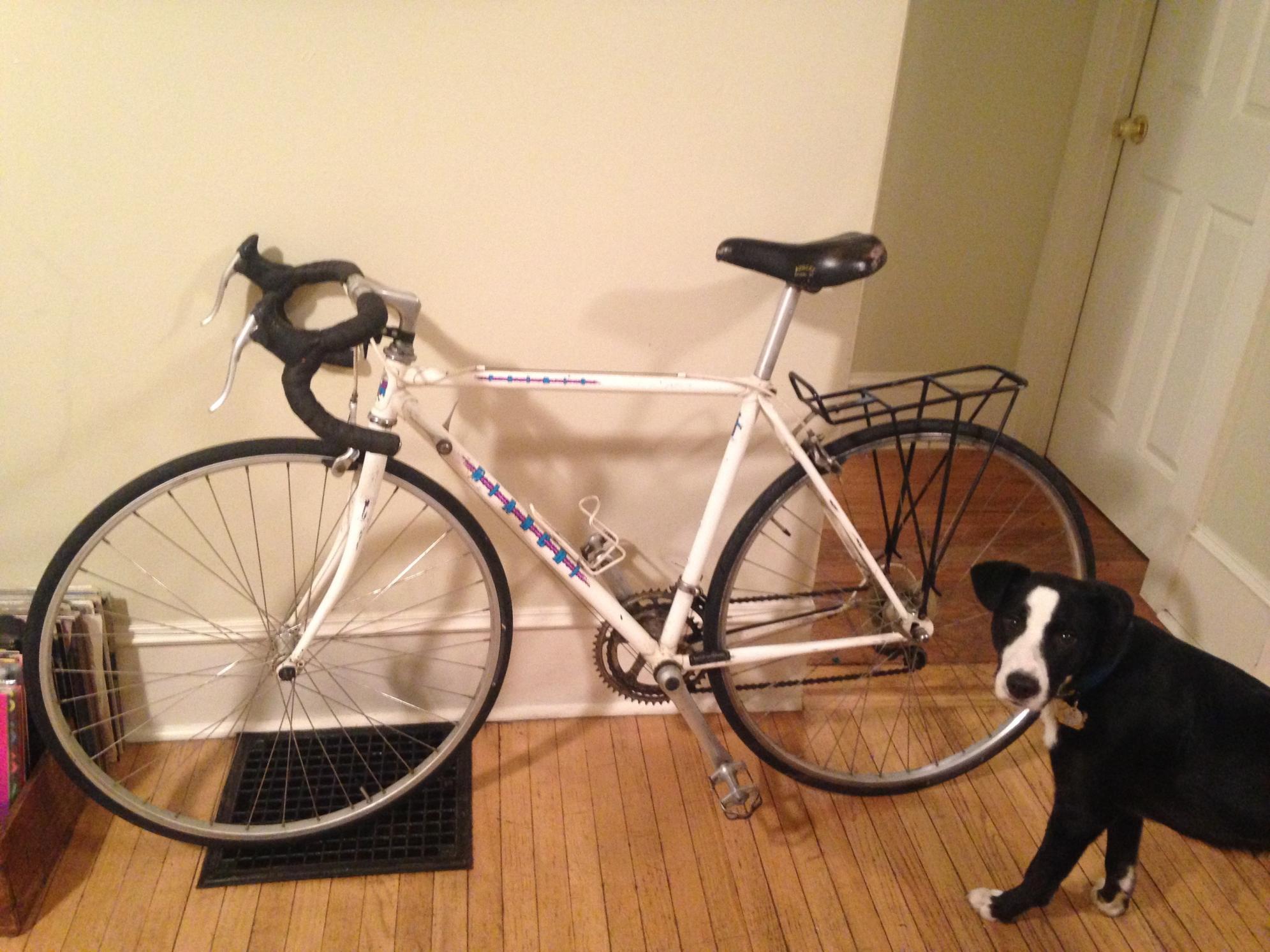 1993 Bianchi Eros White