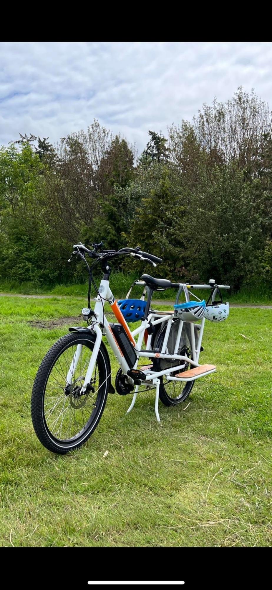 2020 Rad Power Bikes Rad wagon - gen 1 White