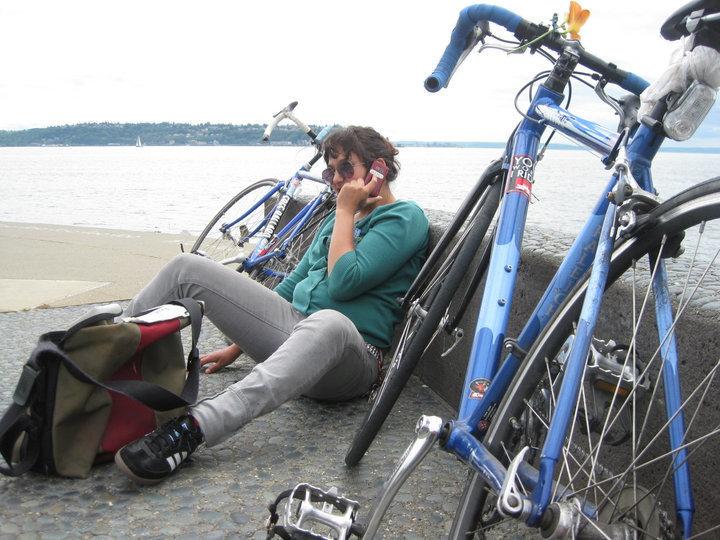 2006 Raleigh Cadent? 2 Tone Blue Blue