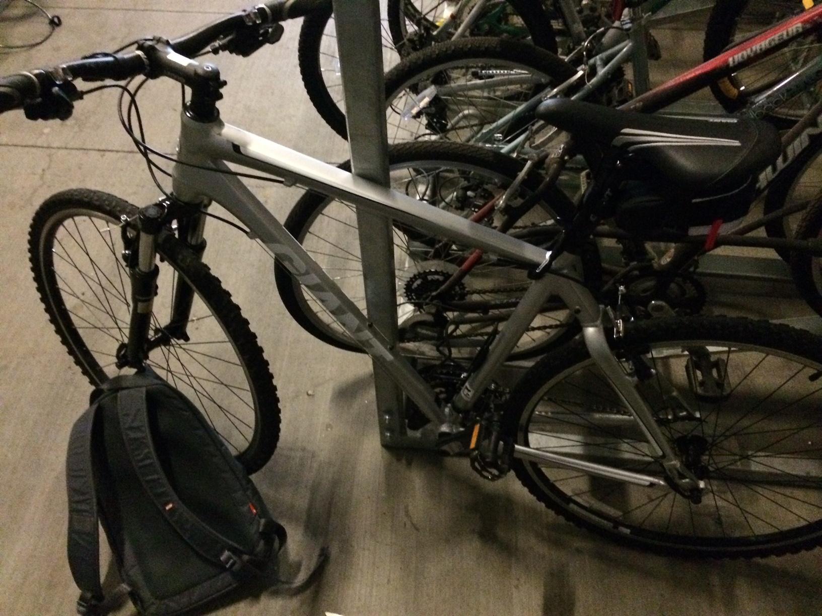 2011 Giant Roam 2 Silver or Gray