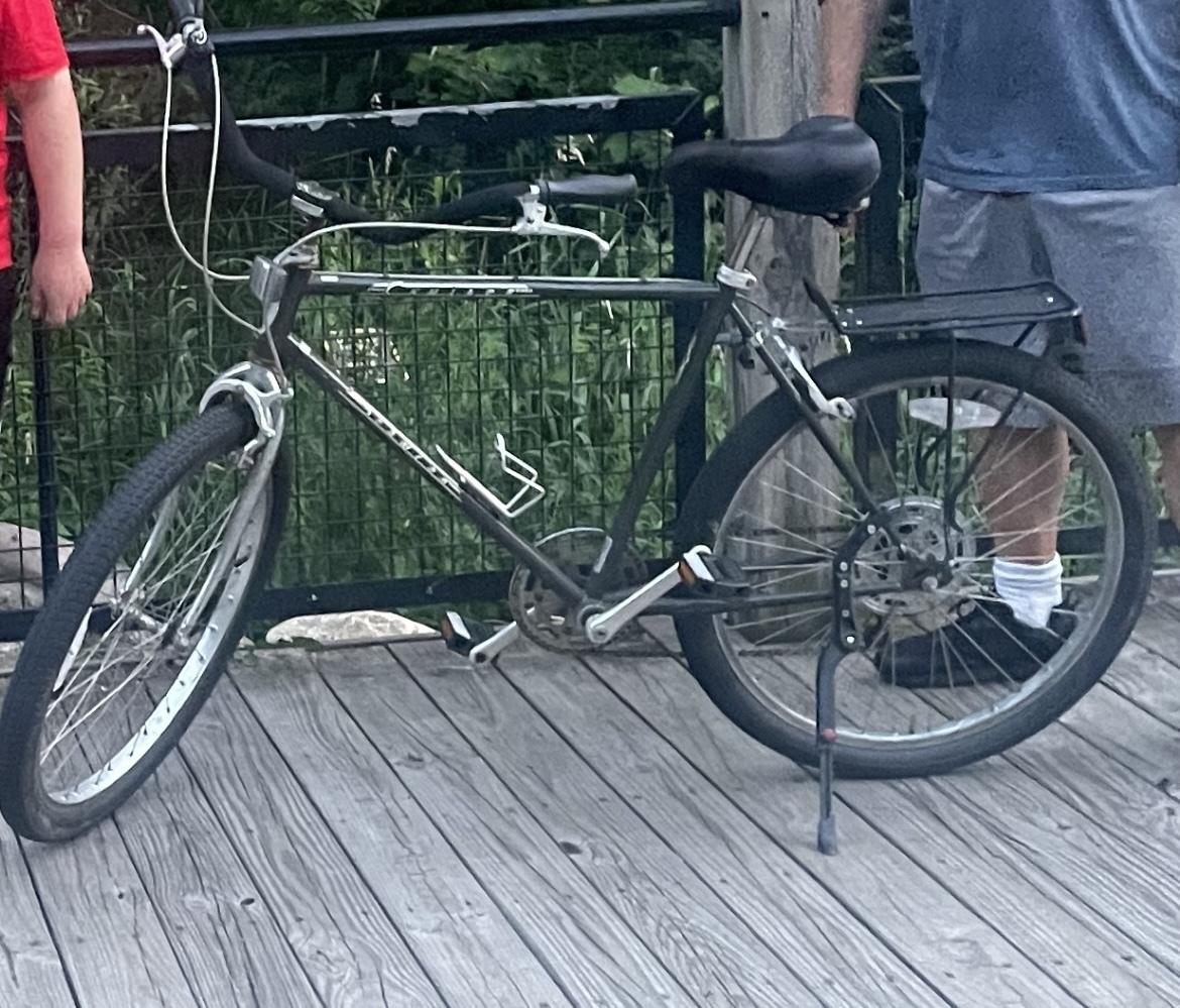 Schwinn Cruiser Ss Black