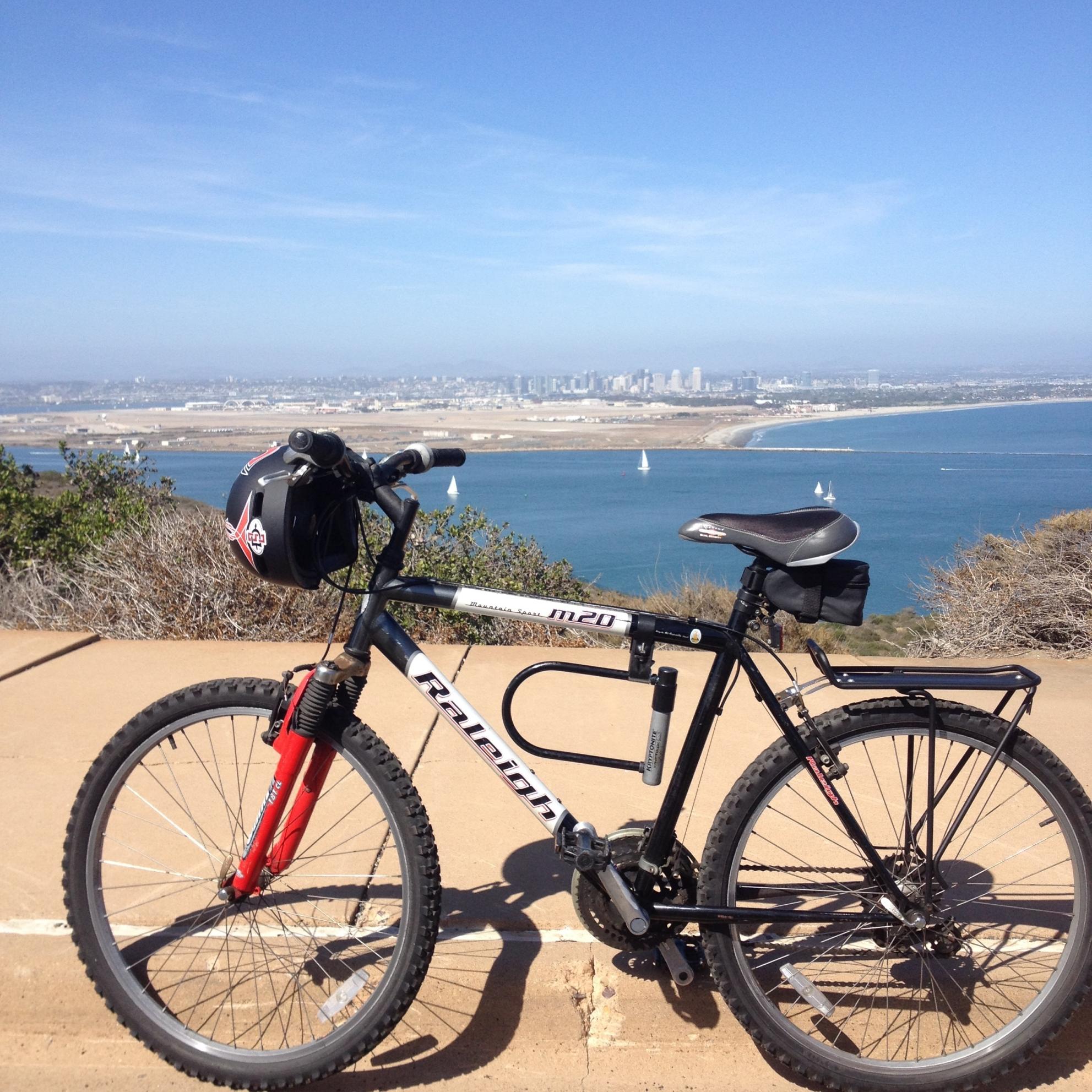 2002 Raleigh M20  Black, White, and Red