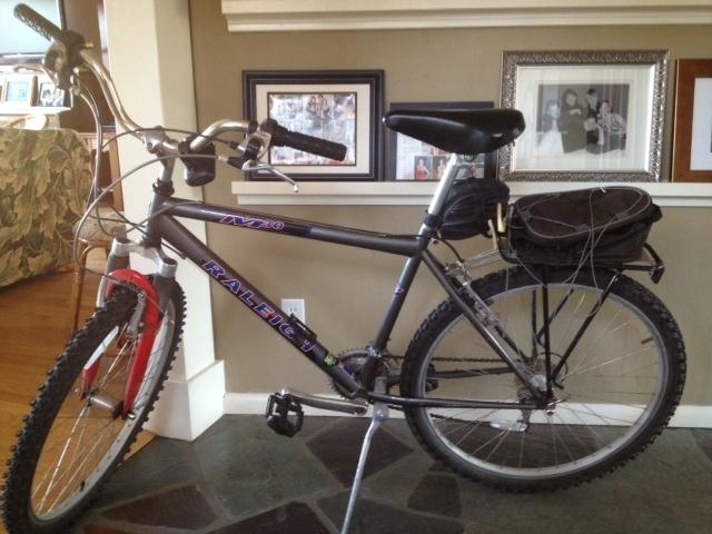 2000 Raleigh M30  Black