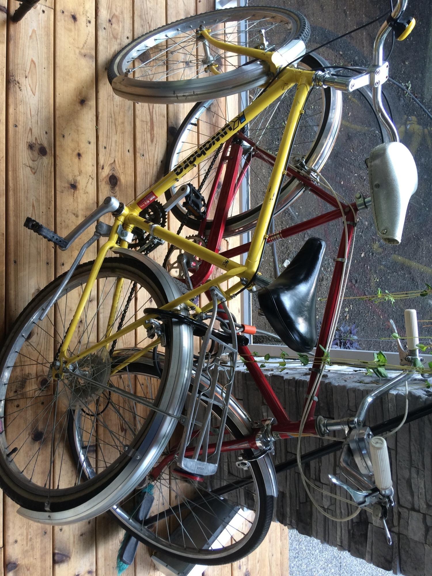 Kuwahara Mesa Yellow or Gold