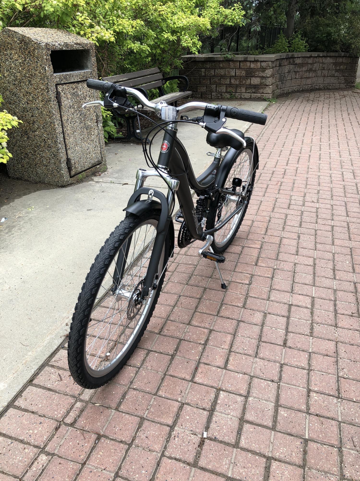 2019 Schwinn Silver, gray or bare metal