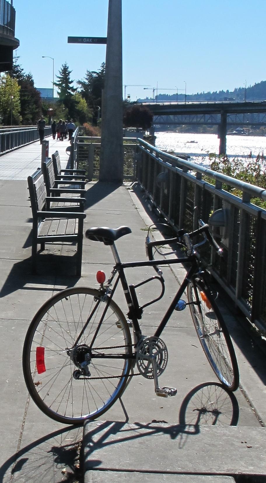 Raleigh Gran Sport  Brown