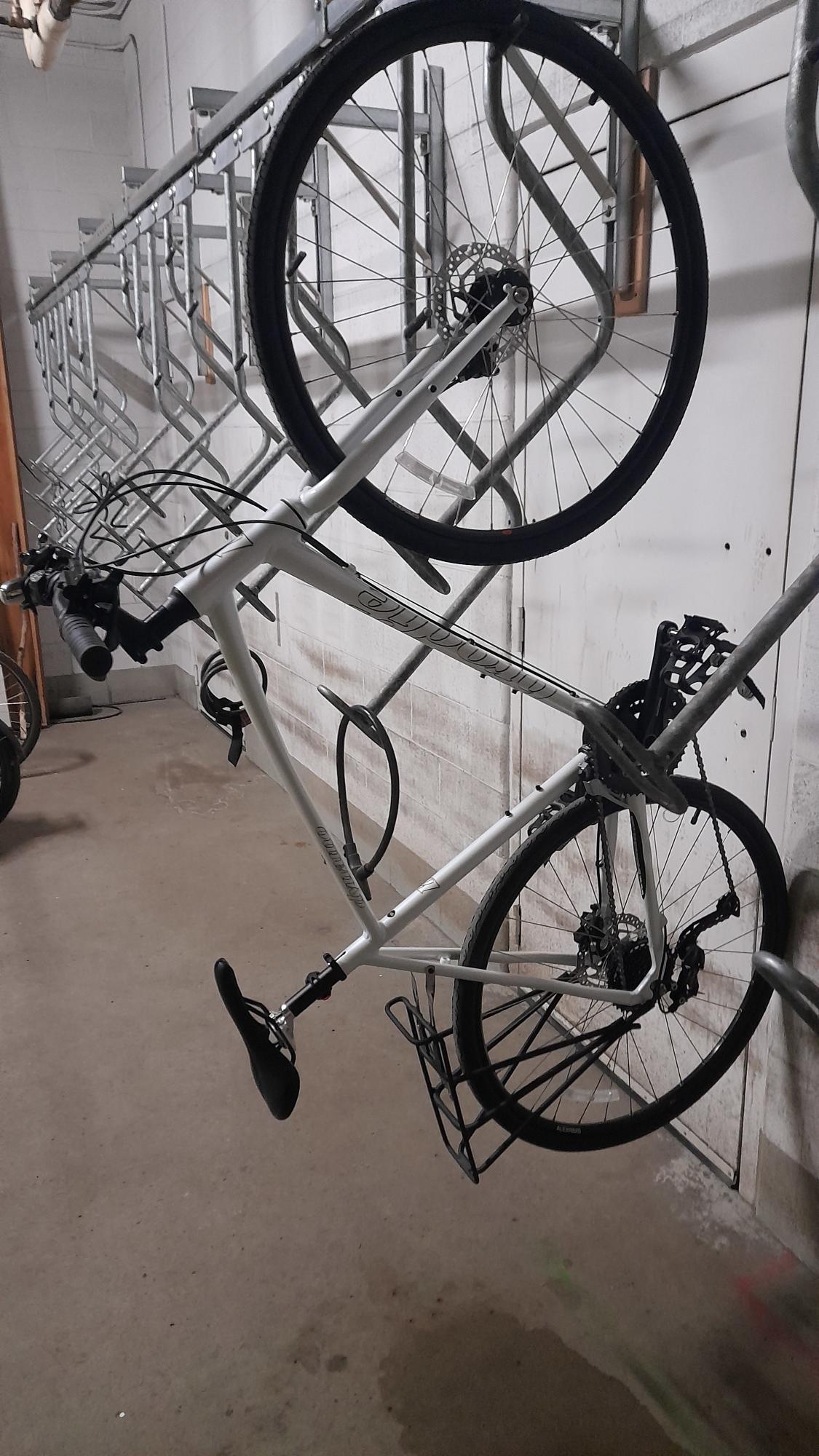 2022 Brodie Dynamo White