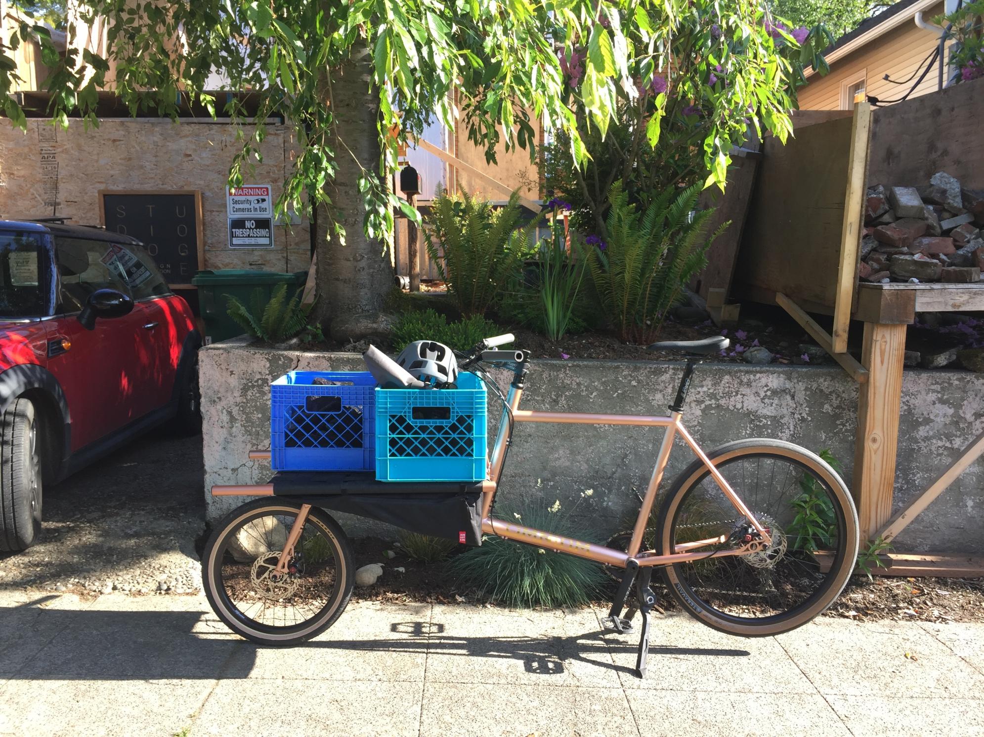 2020 Omnium Cargo Pink