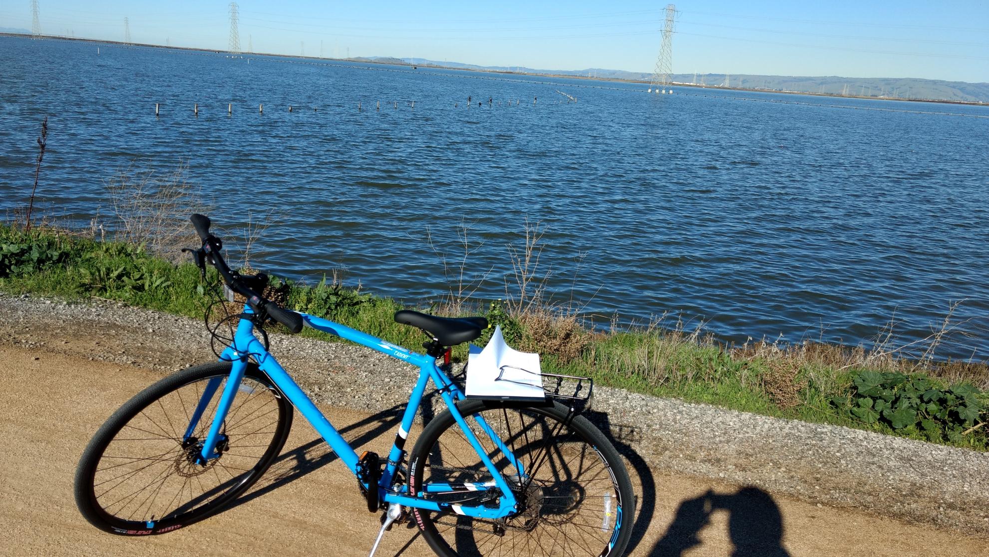 2017 Raleigh Cadent 3 Blue