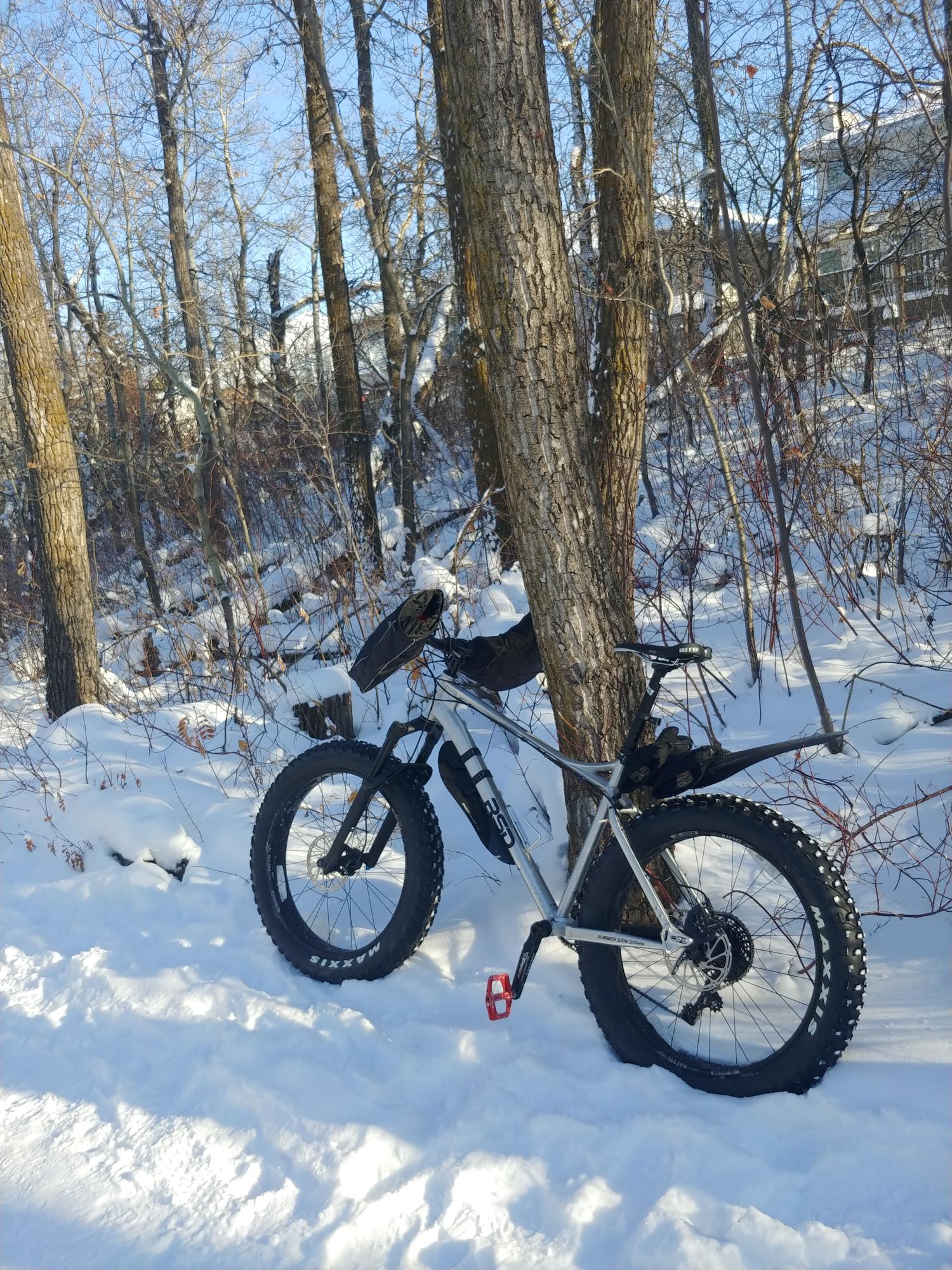 2021 RSD Mayor Silver, gray or bare metal