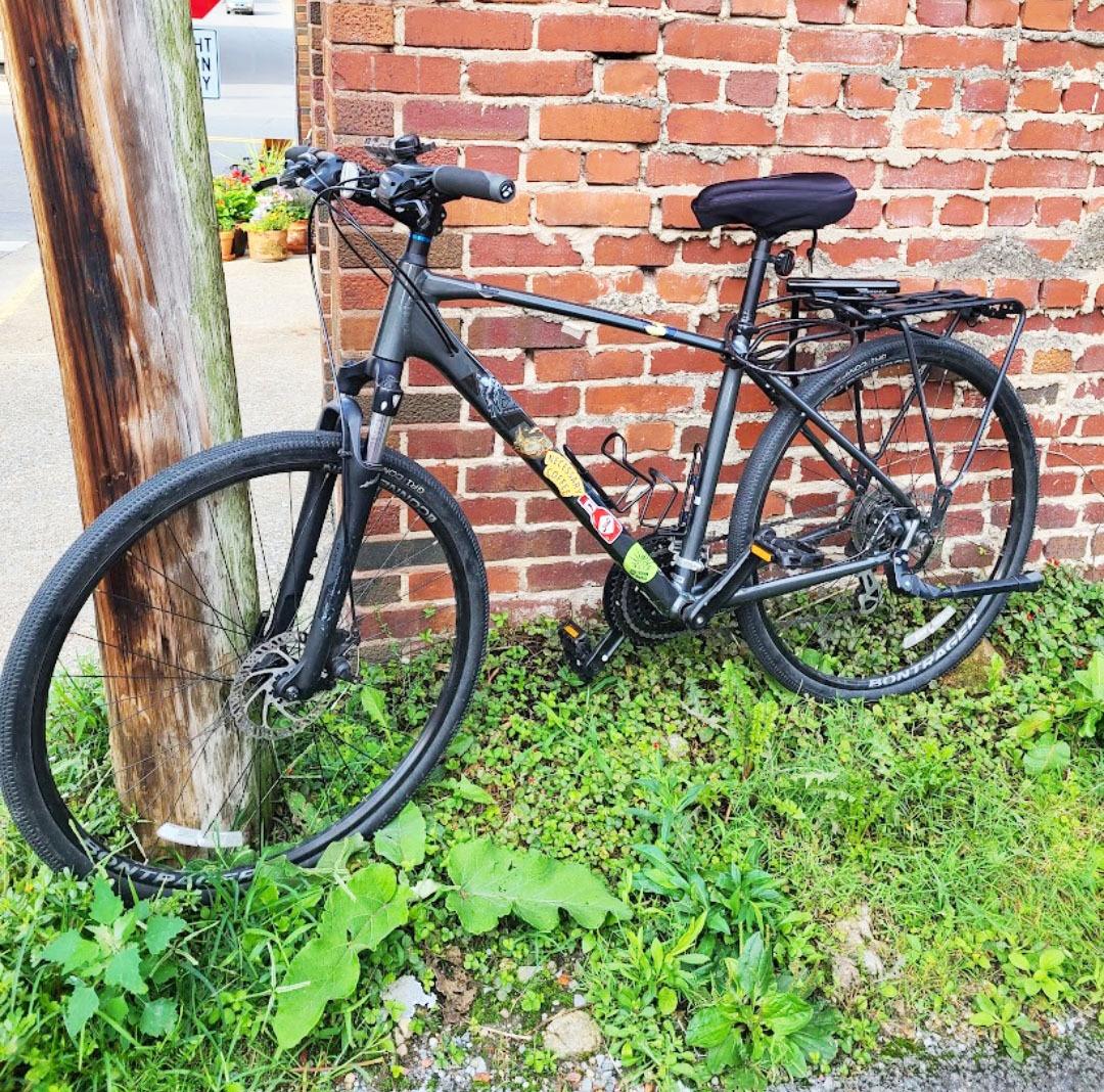 2020 Trek Dual Sport Black