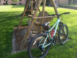 2009 Giant Rincon w Teal