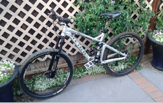 2005 Giant Reign Silver or Gray