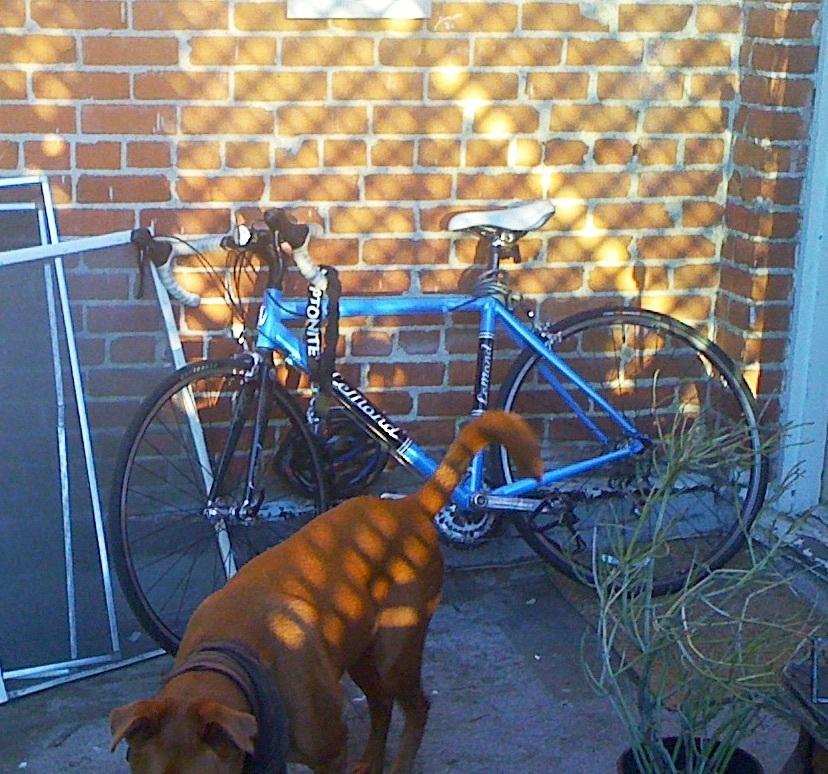 2015 LeMond Racing Cycles Etape  Blue