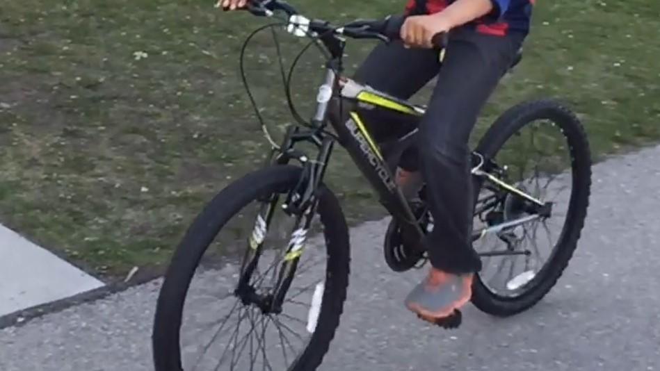 2014 SuperCycle Green, Black, and Silver or Gray