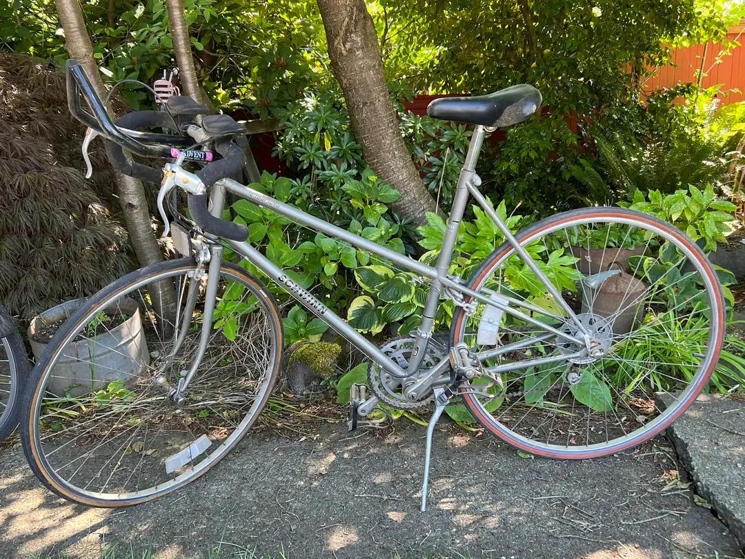 Schwinn Le tour luxe Silver, gray or bare metal