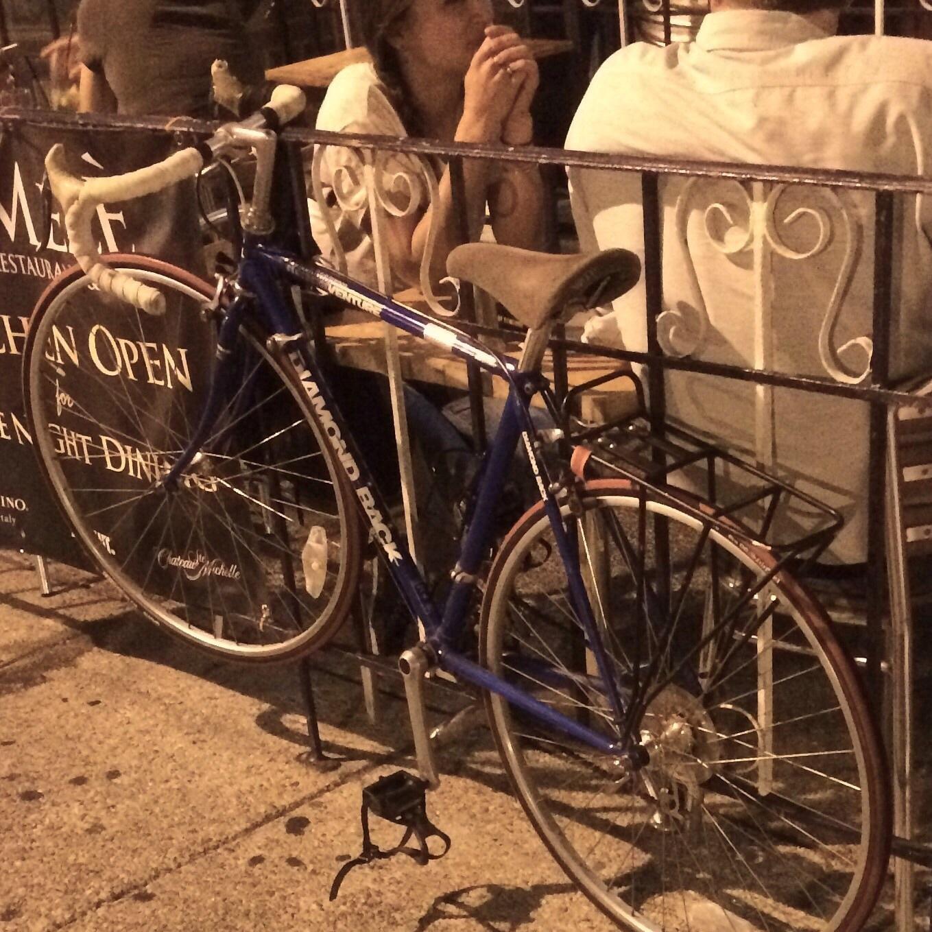 1982 Diamondback Venture Blue