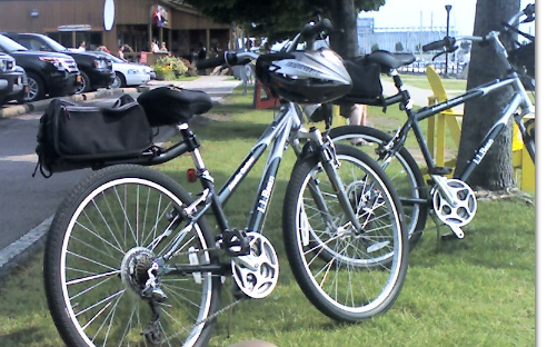 LL Bean Touring handlebars man's bike Green