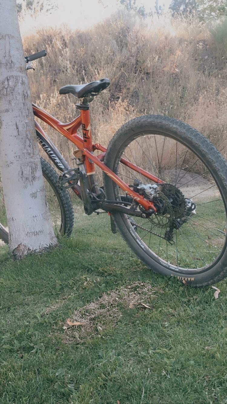 2008 Specialized Stumpjumper Orange
