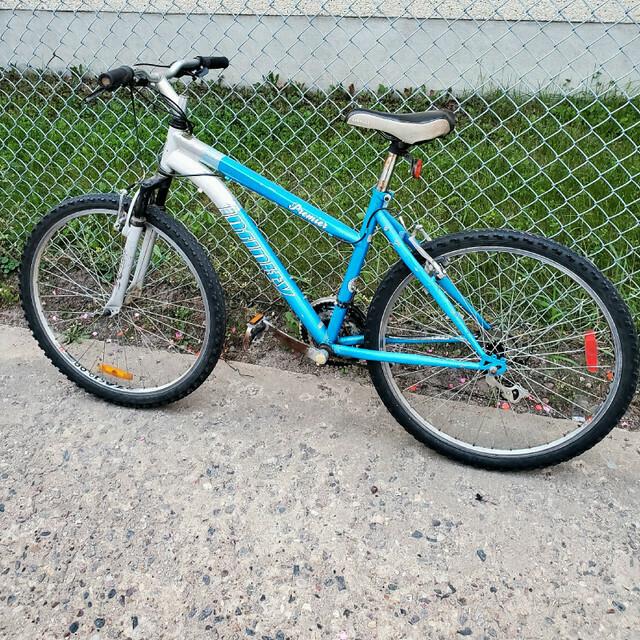 Infinity Cycle Works Premier Blue and Silver, gray or bare metal