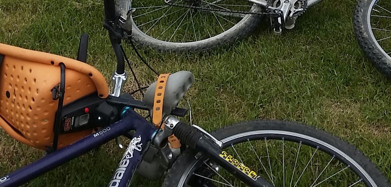 1998 Cannondale Cad3 Purple