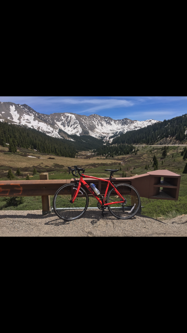 Fuji Sportif 2.3 C Red
